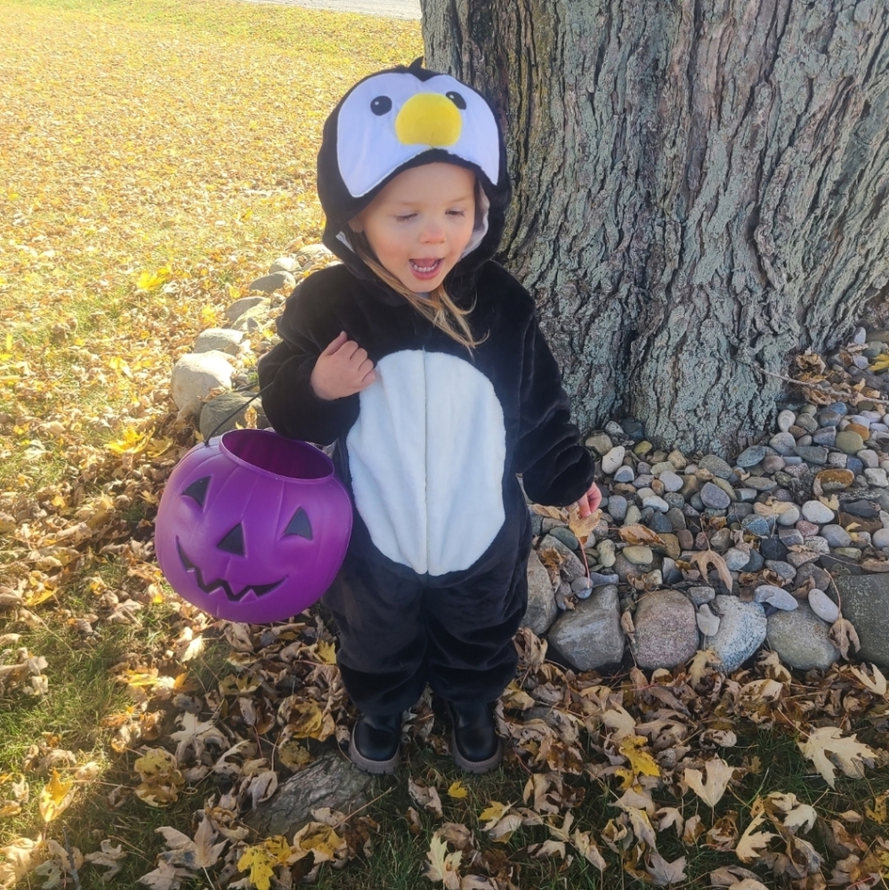 Adorable Penguin Kids Costume - Black and White